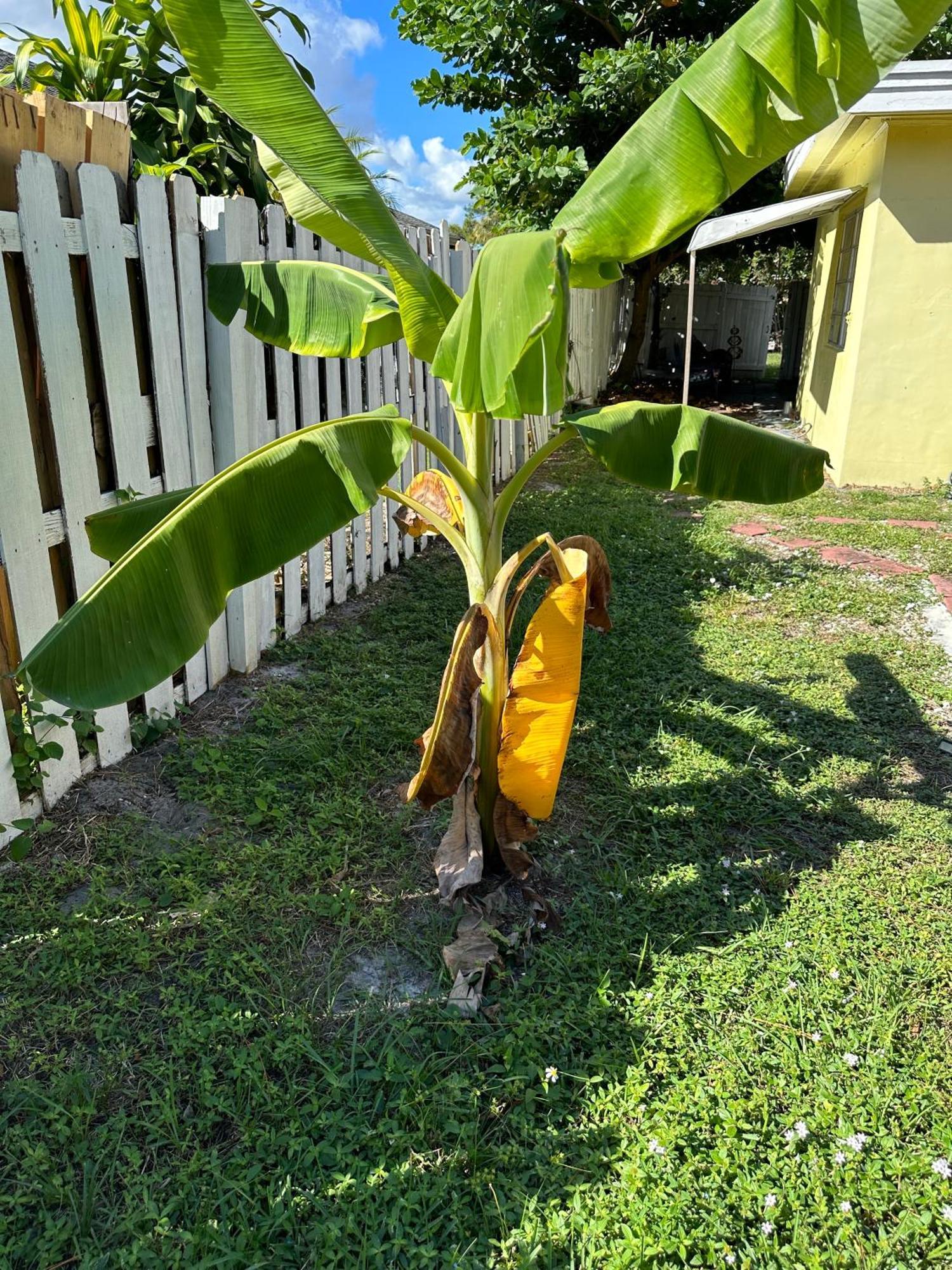 3 Bedroom House Fenced Backyard Private Patio Areas Grill Firepit Plenty Parking! Quick Access 10 Min To Beach Airport Delray West Palm Lake Worth Beach Buitenkant foto